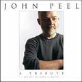 John Peel 
A Tribute