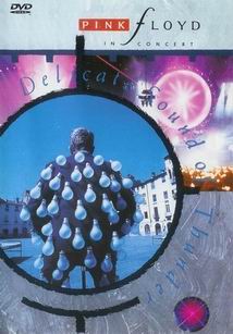 обложка DVD 'Delicate Sound Of Thunder'