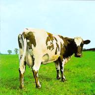   Atom Heart Mother