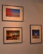 ��������� �������� Taken By Storm