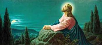 ������������ ����