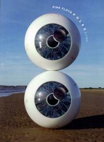  DVD PULSE